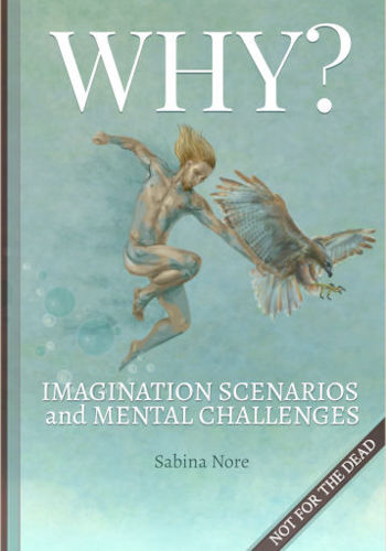 Why? Imagination Scenarios and Mental Challenges