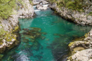 Mrtvica Canyon, Montenegro