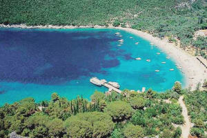 Žanjice beach