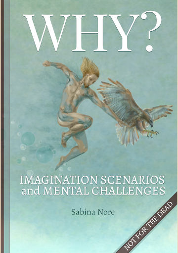 Why - Imagination Scenarios and Mental Challenges