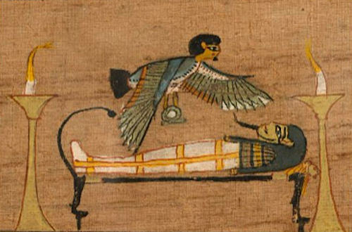 Egyptian Ba bird